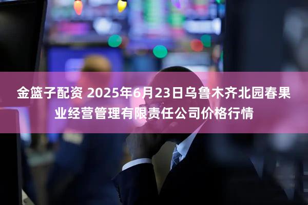 金篮子配资 2025年6月23日乌鲁木齐北园春果业经营管理有限责任公司价格行情