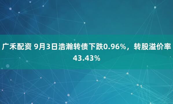 广禾配资 9月3日浩瀚转债下跌0.96%，转股溢价率43.43%