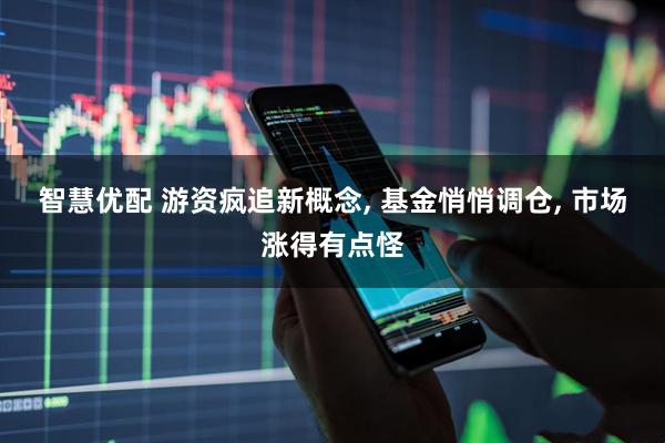 智慧优配 游资疯追新概念, 基金悄悄调仓, 市场涨得有点怪